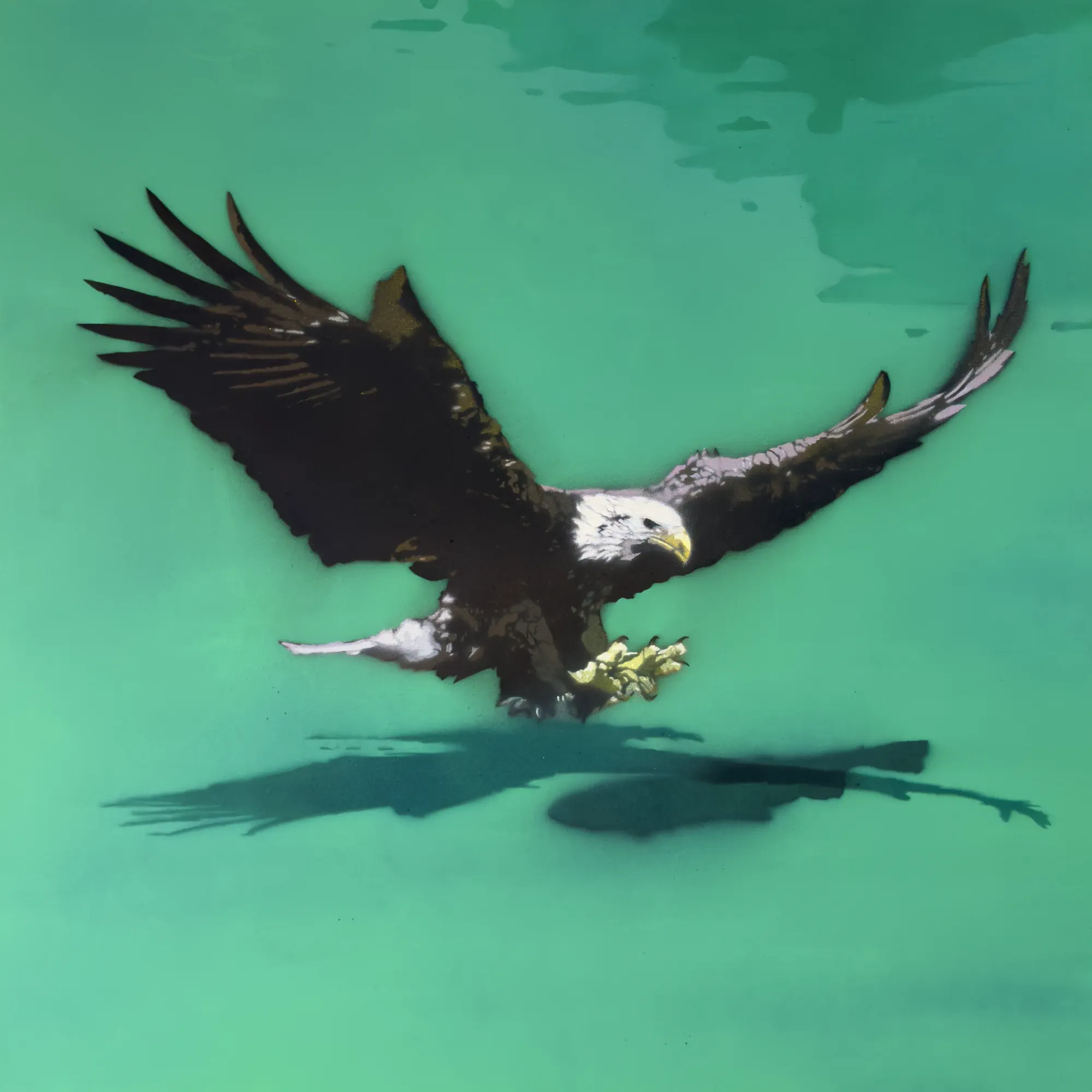 Eagle And Fish Dusk