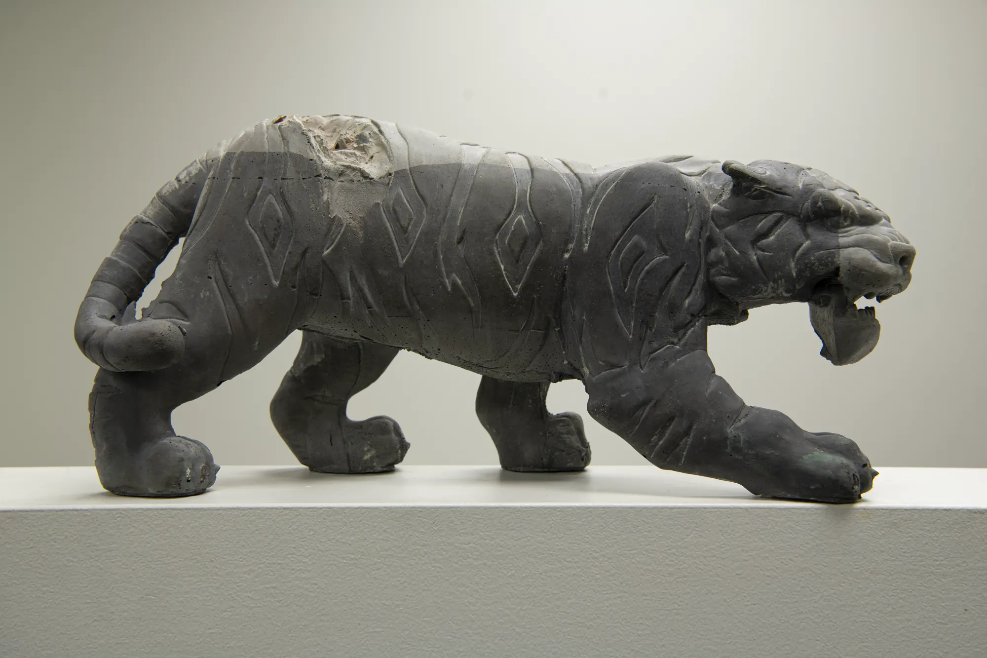 Tiger 4