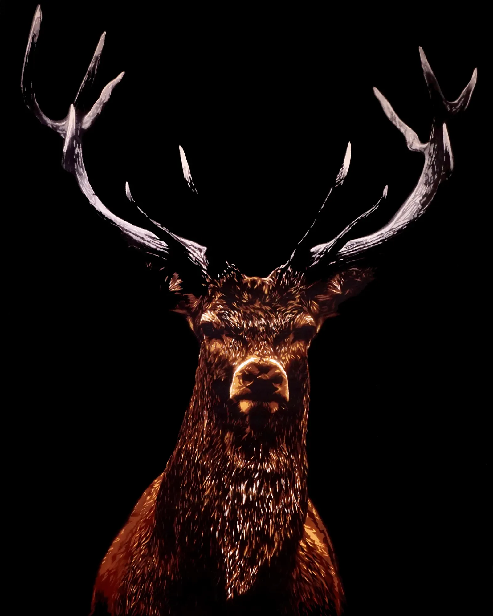 Elk Brown, 36 × 48